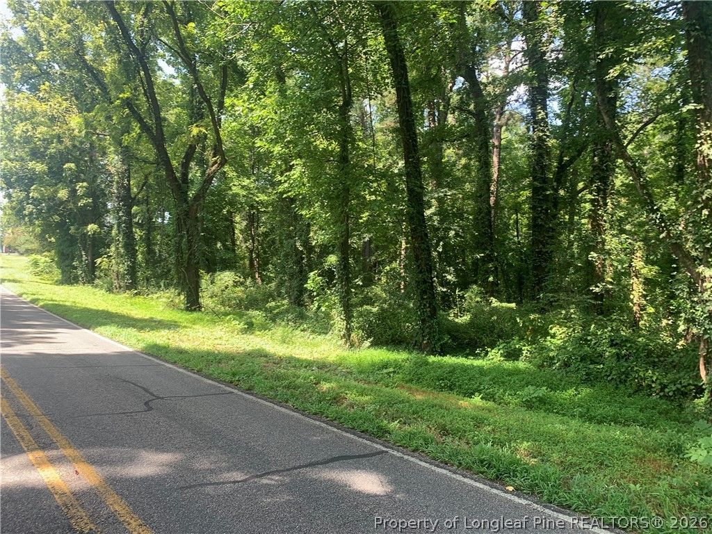 Rocky Fork Church rd Road, Sanford, NC 27330 — photo 2