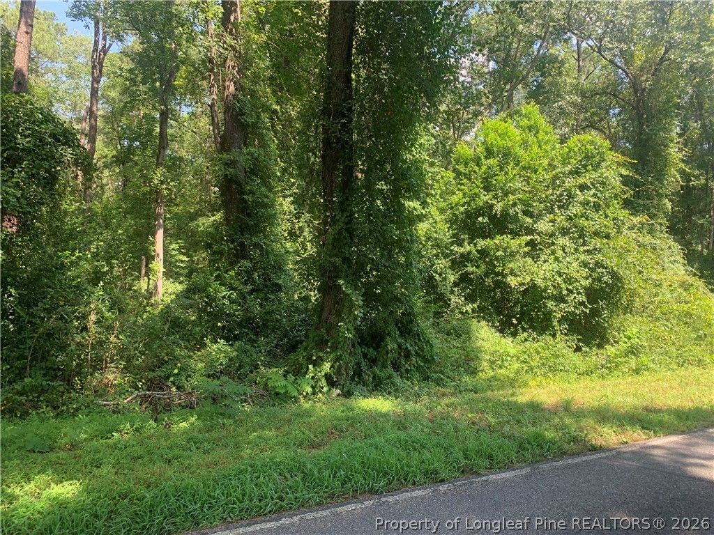 Rocky Fork Church rd Road, Sanford, NC 27330 — photo 3