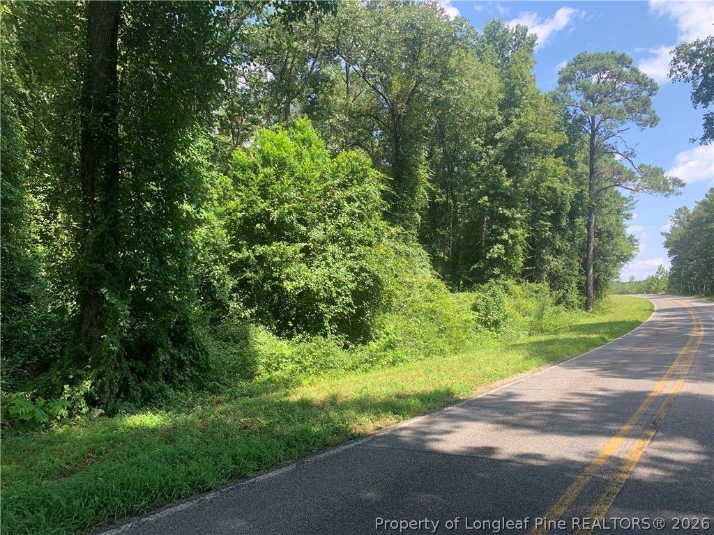 Rocky Fork Church rd Road, Sanford, NC 27330 — photo 4