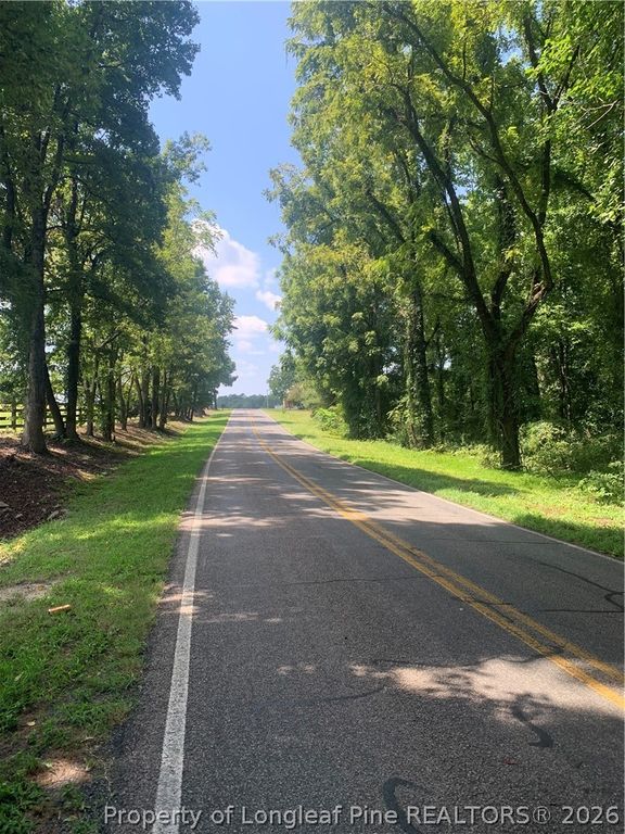 Rocky Fork Church rd Road, Sanford, NC 27330 — photo 5