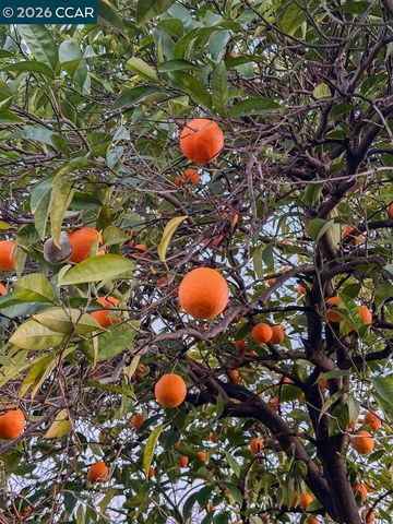 1005 Claremont Dr, Concord, CA 94518