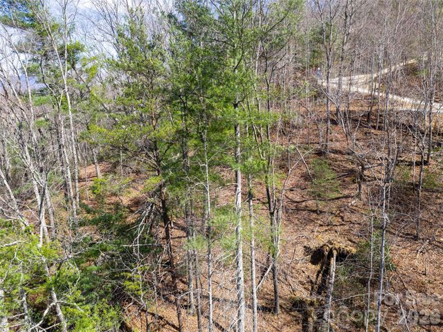 99999 Okoboji Drive, Fletcher, NC 28732