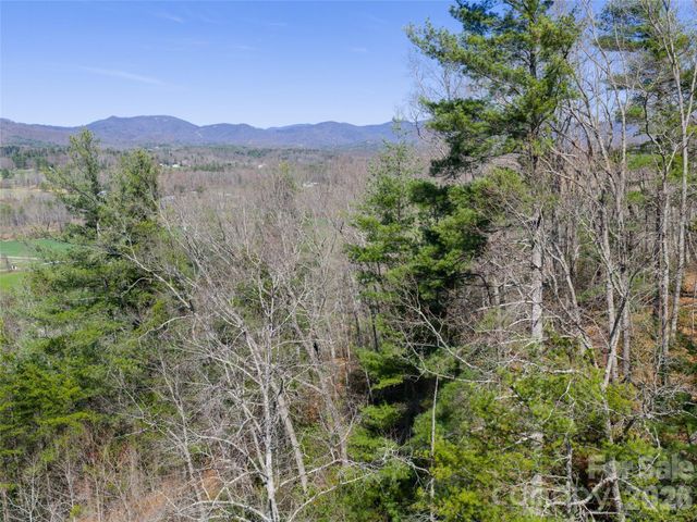 99999 Okoboji Drive, Fletcher, NC 28732
