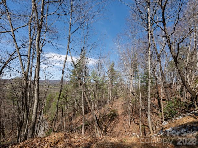 99999 Okoboji Drive, Fletcher, NC 28732