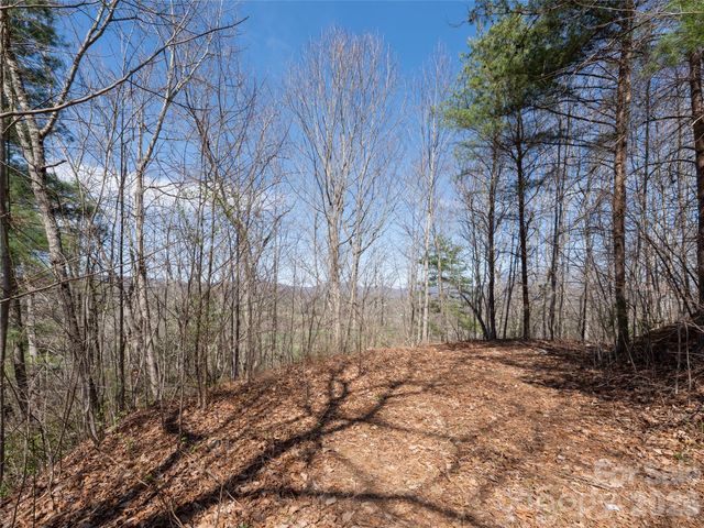 99999 Okoboji Drive, Fletcher, NC 28732