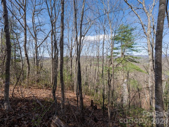 99999 Okoboji Drive, Fletcher, NC 28732