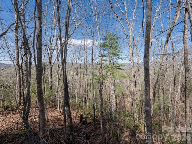 99999 Okoboji Drive, Fletcher, NC 28732
