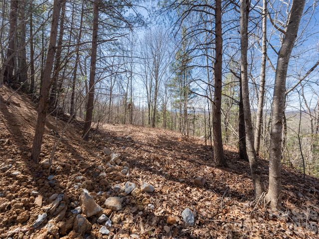 99999 Okoboji Drive, Fletcher, NC 28732