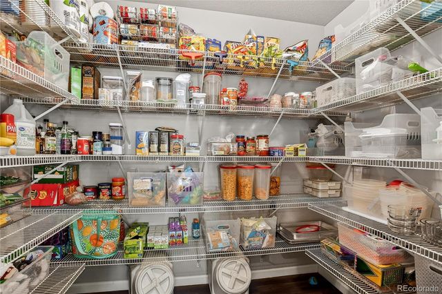 2103 Trail Stone Court, Castle Rock, CO 80108