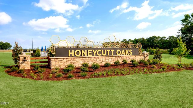 210 Honeydew Drive, Angier, NC 27501
