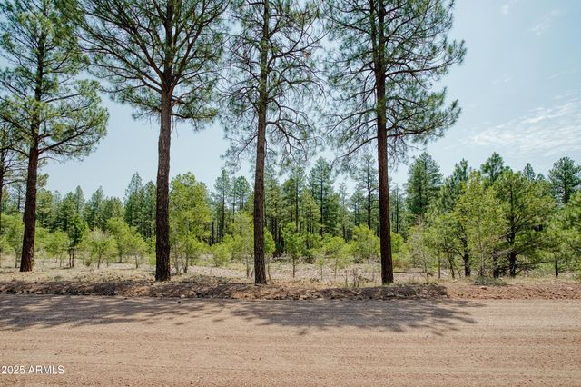 540 RIM Drive, Pinedale, AZ 85934