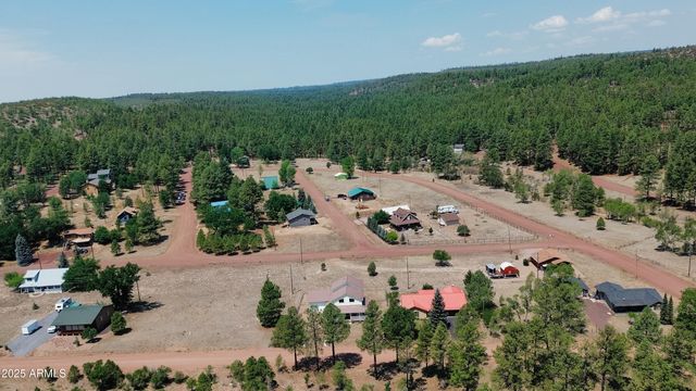 540 RIM Drive, Pinedale, AZ 85934