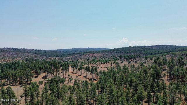 540 RIM Drive, Pinedale, AZ 85934