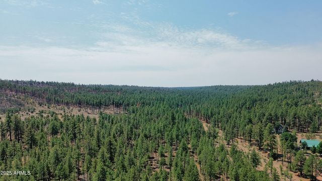 540 RIM Drive, Pinedale, AZ 85934