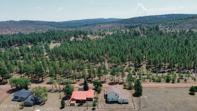 540 RIM Drive, Pinedale, AZ 85934