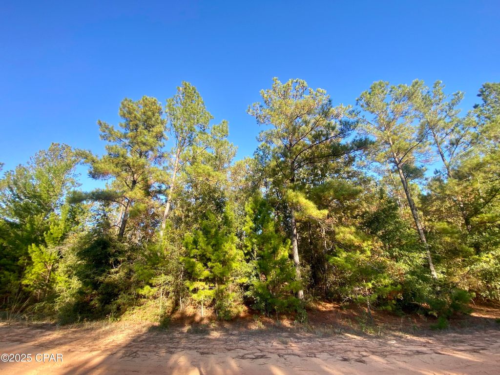 Lot 9 Adams Drive, Alford, FL 32420