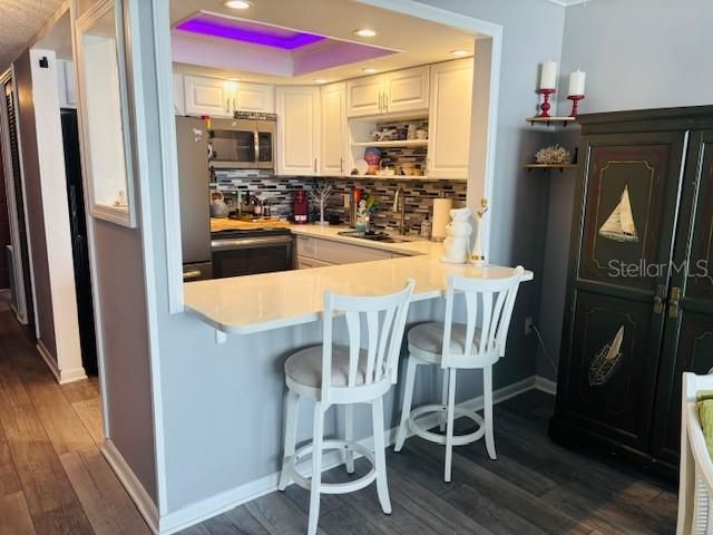 4575 COVE CIRCLE 1105, St Petersburg, FL 33708