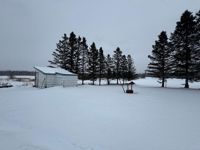 24193 Nebish Road NE, Blackduck, MN 56630