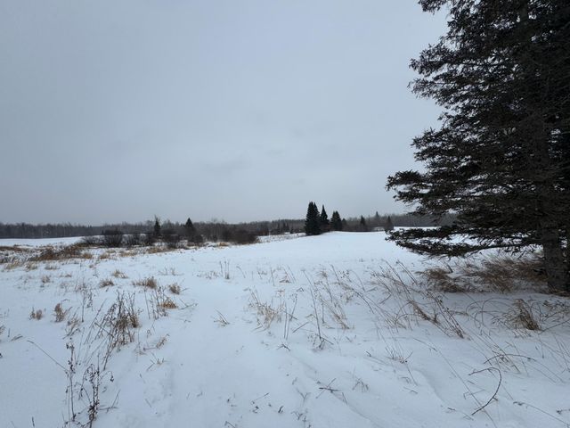 24193 Nebish Road NE, Blackduck, MN 56630
