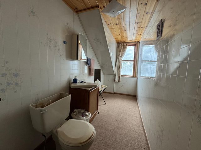 24193 Nebish Road NE, Blackduck, MN 56630