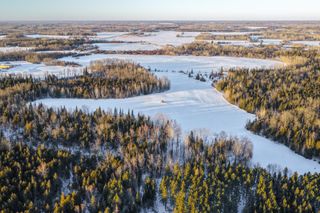 24193 Nebish Road NE, Blackduck, MN 56630