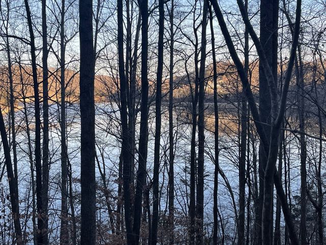 0 Back Bone Rd, Sparta, TN 38583