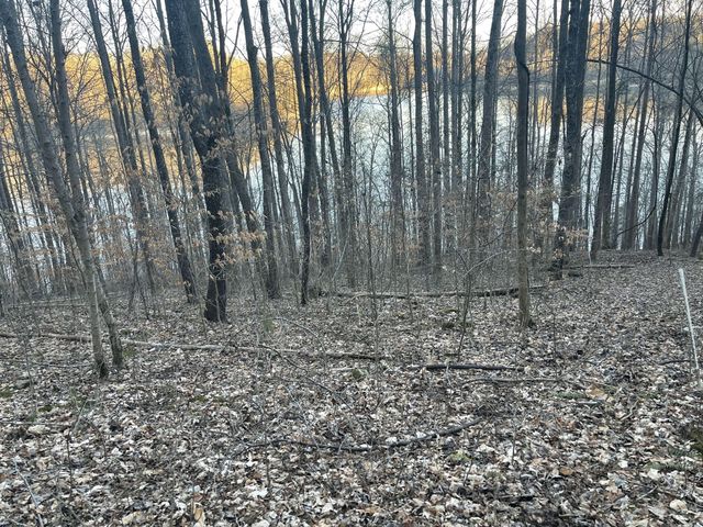 0 Back Bone Rd, Sparta, TN 38583
