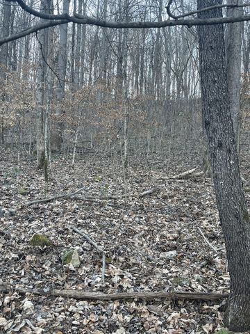 0 Back Bone Rd, Sparta, TN 38583