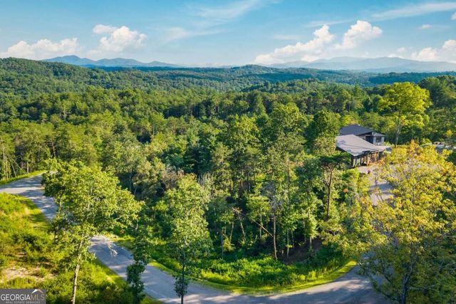 386 Mountain Laurel Ridge, Mineral Bluff, GA 30559