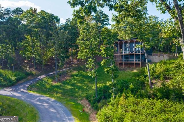 386 Mountain Laurel Ridge, Mineral Bluff, GA 30559