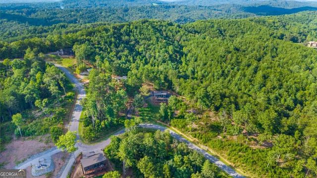 386 Mountain Laurel Ridge, Mineral Bluff, GA 30559