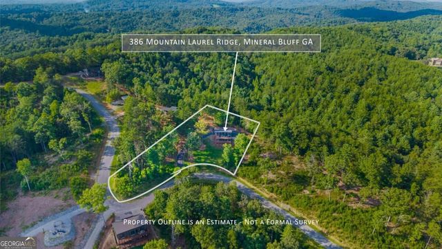 386 Mountain Laurel Ridge, Mineral Bluff, GA 30559
