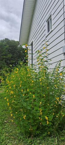 4500 E Huron River Drive, Ann Arbor, MI 48105