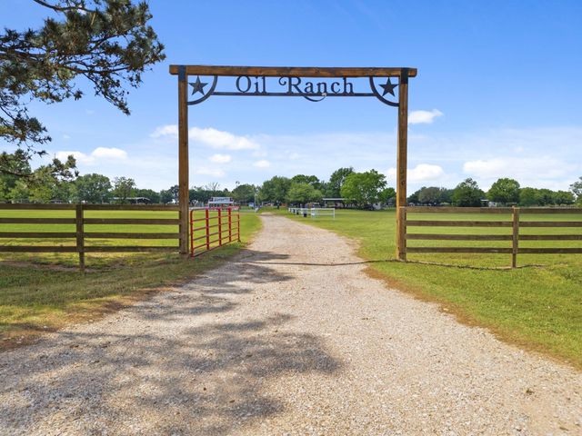 24954 Shady Oak Drive, Hockley, TX 77447