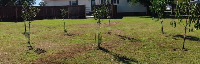 145 Hawkins Dr, Smithville, TN 37166