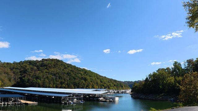 145 Hawkins Dr, Smithville, TN 37166