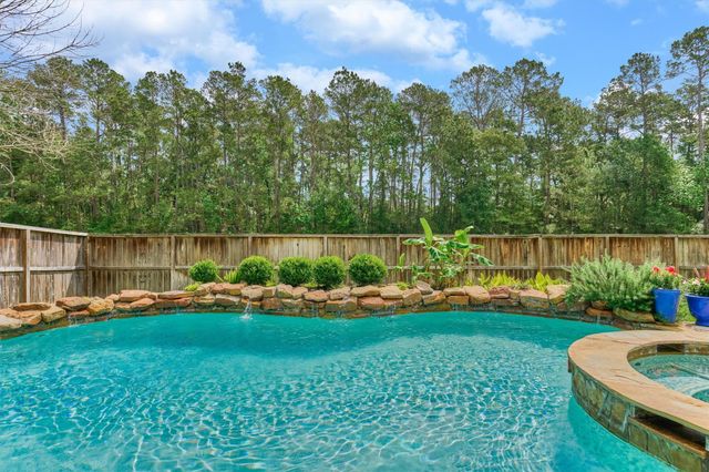11 Wisteria Walk Circle, The Woodlands, TX 77381