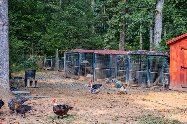 1450 Pleasant Hill Rd, Mcminnville, TN 37110