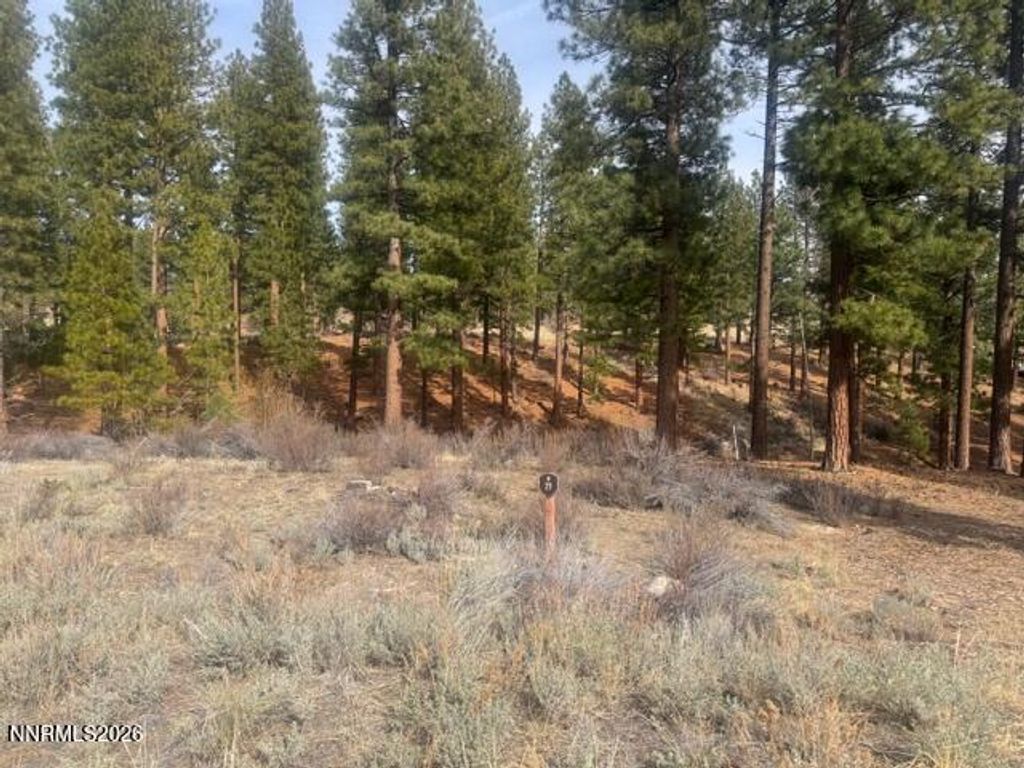 35 Boulders Bend Drive 77, Carson City, NV 89705