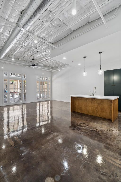 3401 Louisiana Street 209, Houston, TX 77002