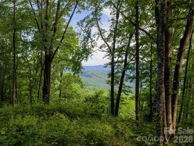 000 New Sprout Lane 2, Hendersonville, NC 28792
