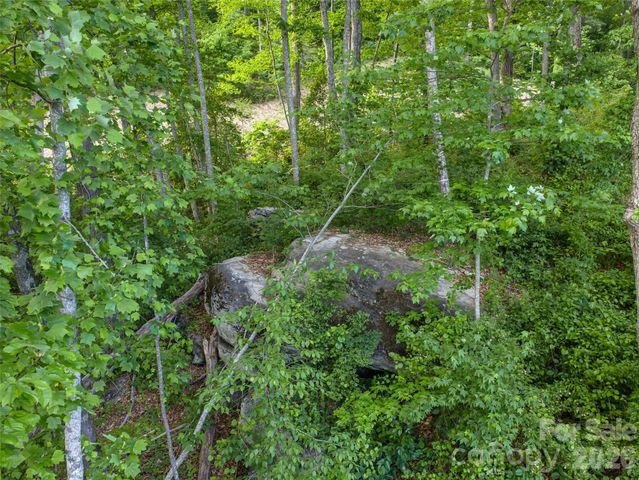 000 New Sprout Lane 2, Hendersonville, NC 28792
