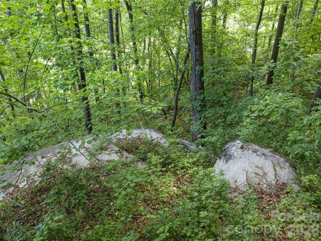 000 New Sprout Lane 2, Hendersonville, NC 28792