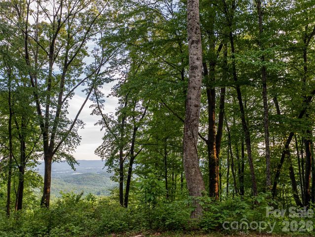 000 New Sprout Lane 2, Hendersonville, NC 28792