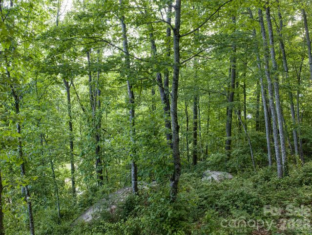 000 New Sprout Lane 2, Hendersonville, NC 28792