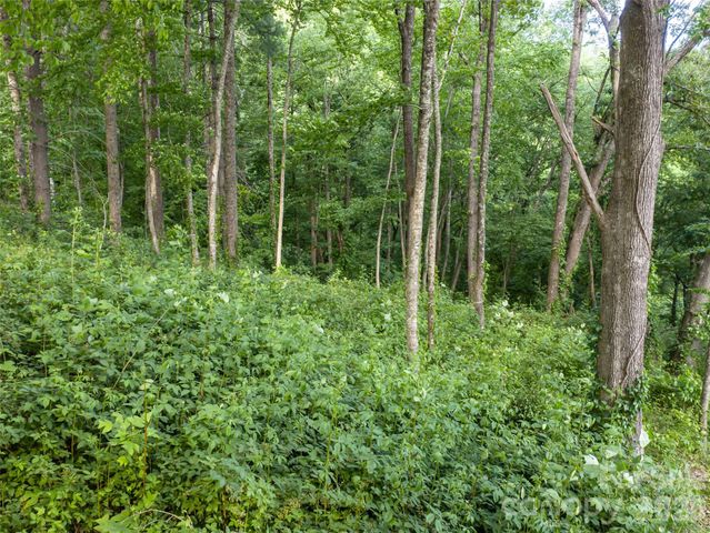 000 New Sprout Lane 2, Hendersonville, NC 28792