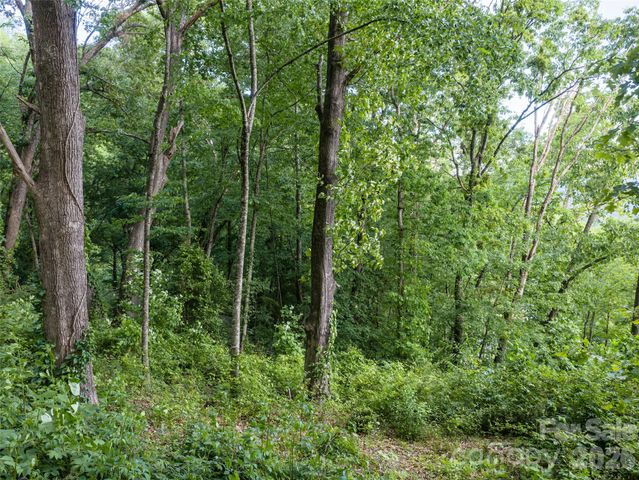 000 New Sprout Lane 2, Hendersonville, NC 28792