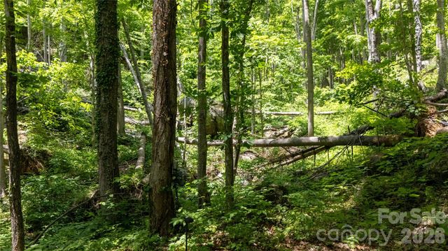 8 Westward Way, Bakersville, NC 28705