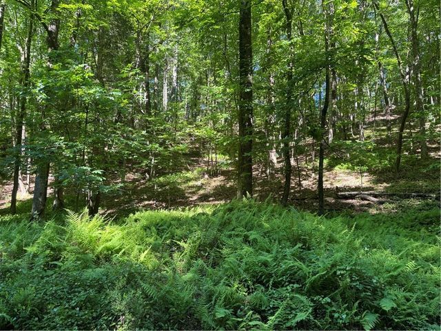 0 Walhalla Court, Ellijay, GA 30540