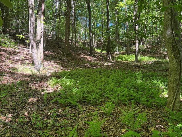 0 Walhalla Court, Ellijay, GA 30540